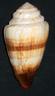 conus miles 
