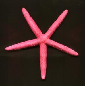 finger color