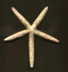 finger natural